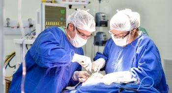 Hugol divulga vagas para residência médica e multiprofissional
